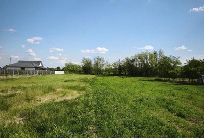 Teren agricol intravilan de 1198 mp, în Tărian - 9