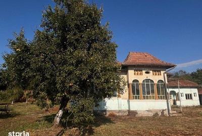 Casă cu 4 camere cu Teren 114 Mp în Berislăvești