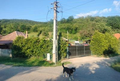 Casă cu 2 camere în Dragu - 4