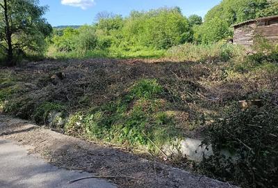 Teren de 5436 mp, în Fedeleșoiu - 3