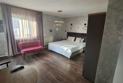 Garsonieră în Ana Ipătescu - 7