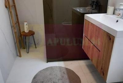 Apartament cu 2 camere decomandat, mobilat în Unirii - 16