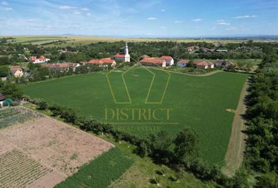 Teren Construcții intravilan de 16716 mp, în Petrovaselo - 5