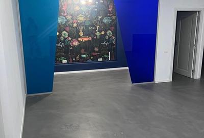 Spațiu comercial, de 325 mp, în Delfinariu - 1