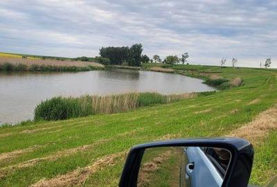 Teren de 395 mp, în Frumușani