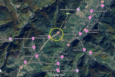 Teren de 2000 mp, în Moieciu - 2