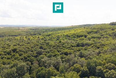 Teren agricol extravilan de 22900 mp, în Exterior Sud - 4