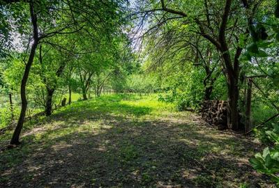 Casă cu 3 camere semidecomandat în Păgubeni - 5