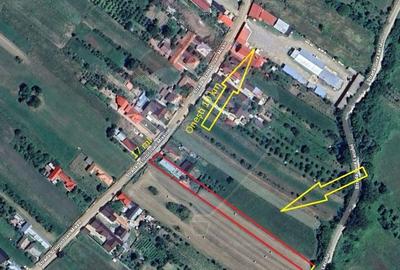 Casă cu 3 camere cu Teren 2254 Mp în Mănăstirea Cașin - 19