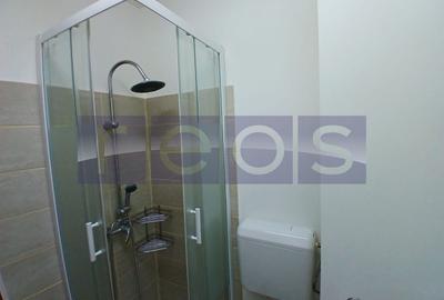 Apartament cu 3 camere, mobilat în Dristor - 11