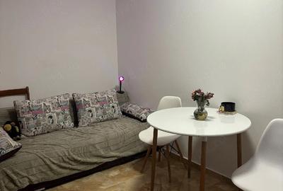 Apartament cu 2 camere semidecomandat în Gorjului - 3