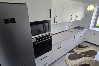 Apartament cu 2 camere în Burdea