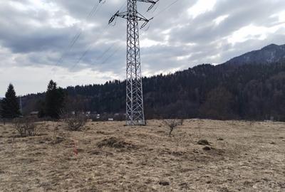 Teren intravilan de 346 mp, în Cumpătu - 3