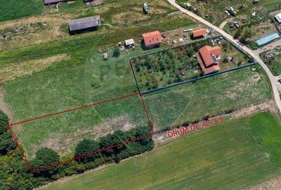 Teren Construcții intravilan de 2469 mp, în Bălata - 1