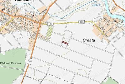 Teren de 11000 mp, în Dascălu - 3