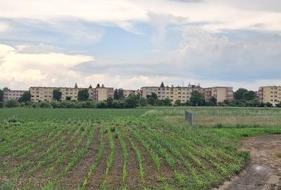 Teren Construcții intravilan de 9500 mp, în Triaj - 1
