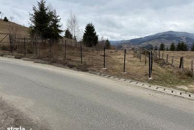 Teren de 1700 mp, în Albac - 1
