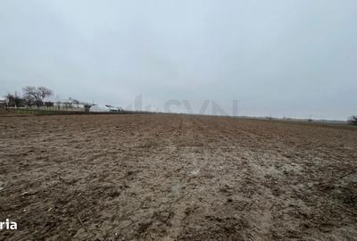 Teren de 4200 mp, în Mogoșani - 7