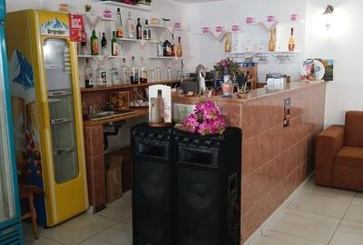 Spațiu comercial, de 500 mp, în Saca