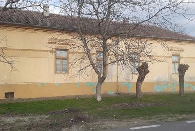Casă cu Teren 800 Mp în Cenei - 3