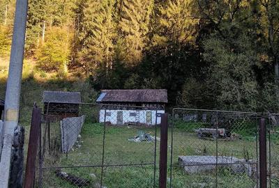 Teren de 1058 mp, în Voineasa - 4