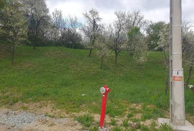 Teren de 1600 mp, în Groși - 3