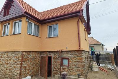 Casă cu 2 camere cu Teren 1150 Mp în Pădureni (Ciurila) - 3