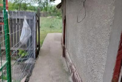 Casă cu 5 camere cu Teren 4000 Mp în Smârdan - 1
