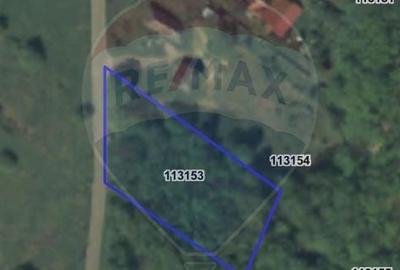 Teren agricol intravilan de 1700 mp, în Borod - 2