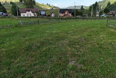 Teren de 1988 mp, în Breaza - 11