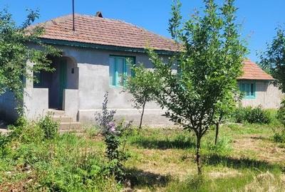 Casă cu 4 camere cu Teren 1600 Mp în Colceag - 3