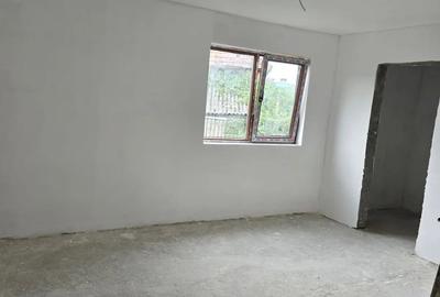 Casă cu 2 camere cu Teren 30000 Mp în Valea Leșului - 9