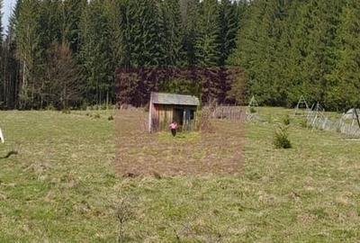 Teren în Dascălu