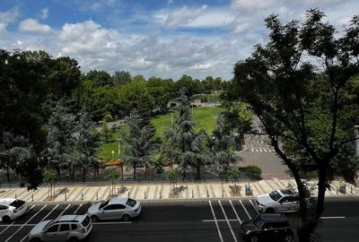 Apartament cu 2 camere semidecomandat în Colentina - 10