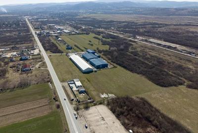 Teren de 7194 mp, în Păltiniș - 13