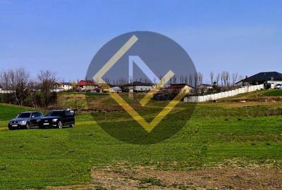 Teren Construcții intravilan de 5000 mp, în Moara Domnească - 3
