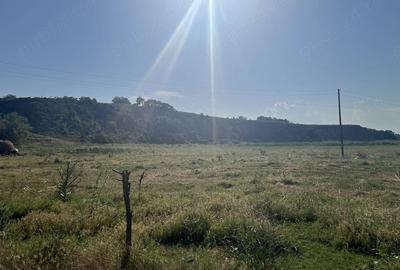 Teren de 1500 mp, în Victoria