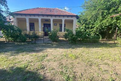 Casă cu Teren 1300 Mp în Central - 1