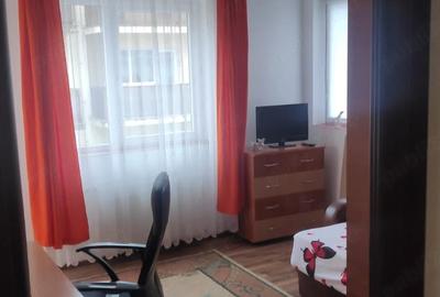 Garsonieră decomandată în Turnișor