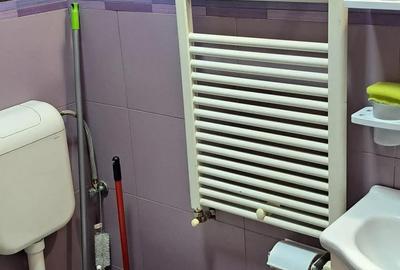 Casă cu 1 camere cu Teren 66 Mp în Mărăști - 10