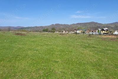 Teren de 7500 mp, în Voila - 4