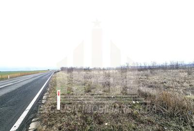 Teren extravilan de 6000 mp, în Lancrăm