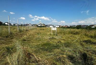 Teren de 622 mp, în Păulești