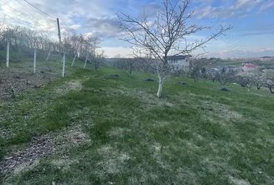 Teren de 1000 mp, în Șorogari - 2