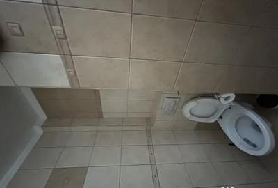 Apartament cu 2 camere decomandat în Carpați 2 - 13
