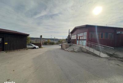 Spațiu comercial, de 150 mp, în Cug - 14