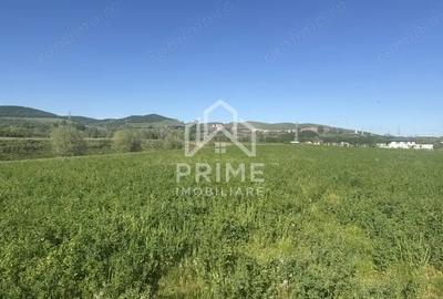 Teren de 5800 mp, în Central