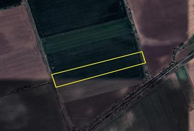 Teren agricol extravilan de 30200 mp, în Căciulați - 3