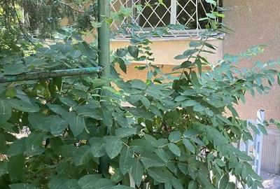 Apartament cu 3 camere decomandat în Eroii Revoluției