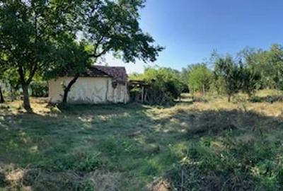 Teren de 2400 mp, în Lipia